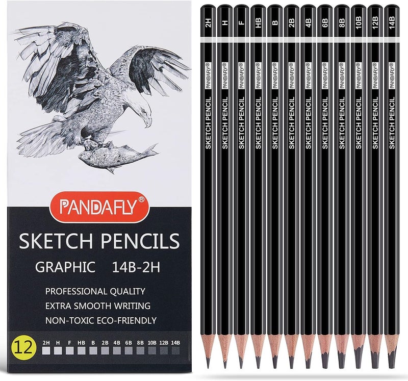 PANDAFLY Professional Drawing Sketching Pencil Set - 12 Pieces Graphite Pencils(14B - 2H), Ideal for Drawing Art, Sketching, Shading, Artist Pencils for Beginners & Pro Artists - Image 1